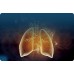 Hypnus Auto CPAP CA720W with nasal mask, tubing, humidifier & wi-fi enabled